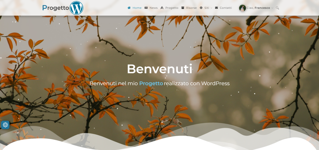 Scopri di più sull'articolo Sito Web con WordPress e Altervista